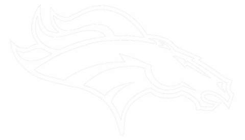 682f720c81574b7a6f17448d broncos p 500