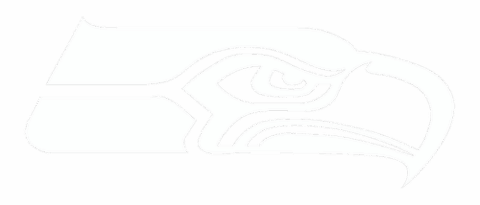 682f7290024b8d7d04dd3898 seahawks p 500